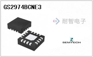 GS2974BCNE3