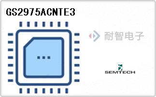 GS2975ACNTE3