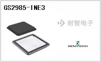 GS2985-INE3