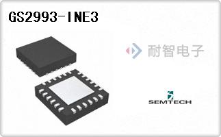 GS2993-INE3