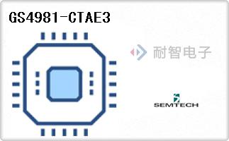 GS4981-CTAE3