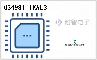 GS4981-IKAE3