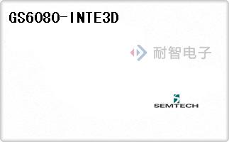 GS6080-INTE3D