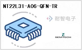 NT22L31-A06-QFN-TR