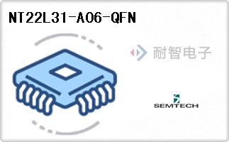 NT22L31-A06-QFN