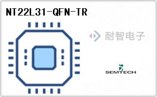 NT22L31-QFN-TR
