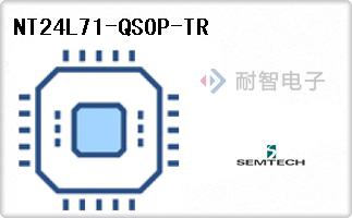 NT24L71-QSOP-TR