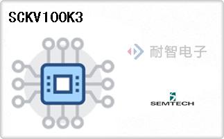 SCKV100K3