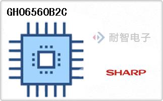 GH06560B2C