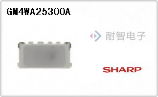 GM4WA25300A
