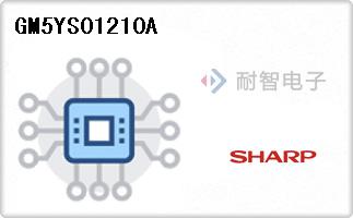 GM5YS01210A