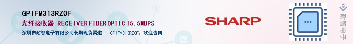 GP1FM313RZ0FӦ-ǵ
