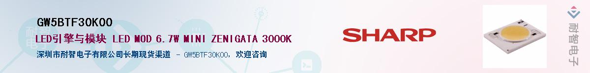 GW5BTF30K00供应商-耐智电子