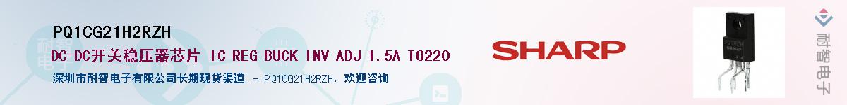 PQ1CG21H2RZHӦ-ǵ
