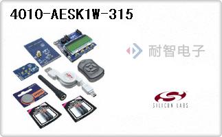 4010-AESK1W-315