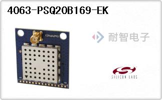 4063-PSQ20B169-EK