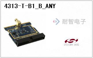4313-T-B1_B_ANY