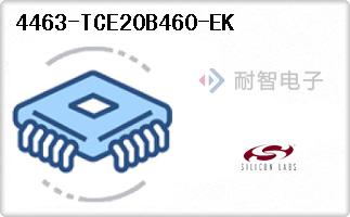 4463-TCE20B460-EK