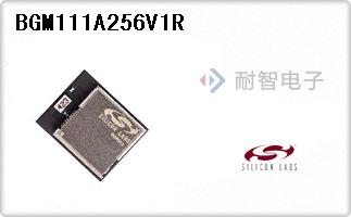 BGM111A256V1R