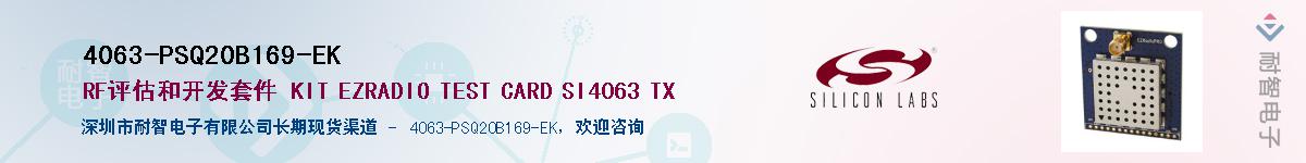 4063-PSQ20B169-EKӦ-ǵ