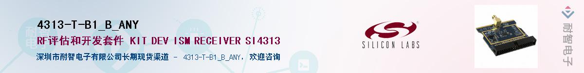 4313-T-B1_B_ANYӦ-ǵ