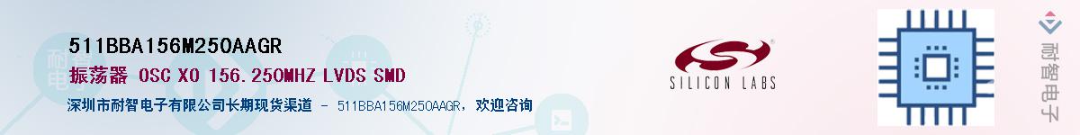 511BBA156M250AAGRӦ-ǵ