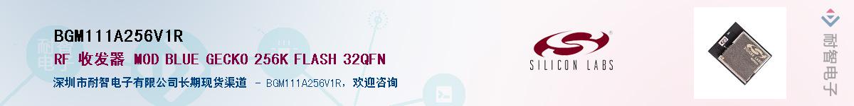 BGM111A256V1RӦ-ǵ
