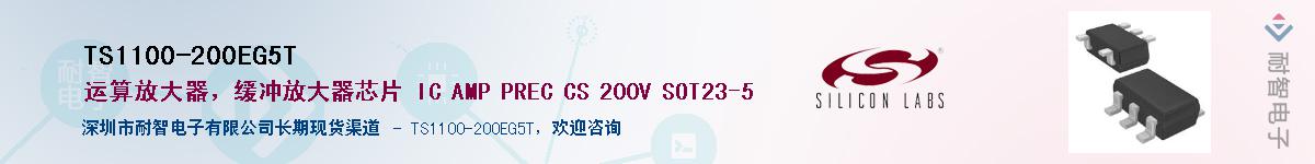 TS1100-200EG5TӦ-ǵ