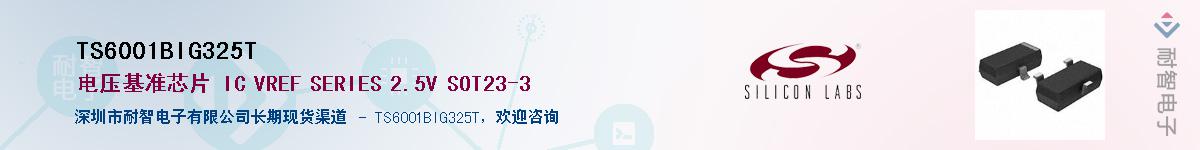 TS6001BIG325TӦ-ǵ