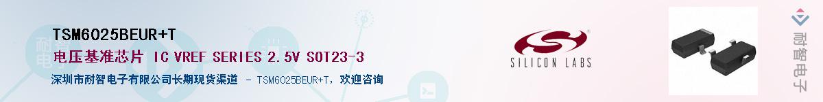 TSM6025BEUR+TӦ-ǵ
