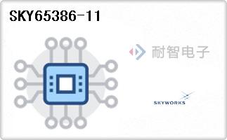 SKY65386-11