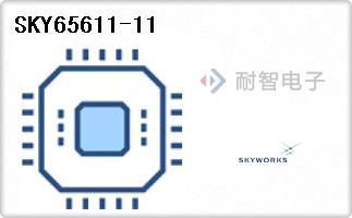 SKY65611-11