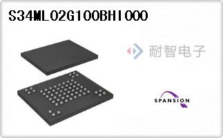 S34ML02G100BHI000
