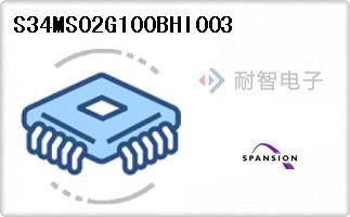 S34MS02G100BHI003