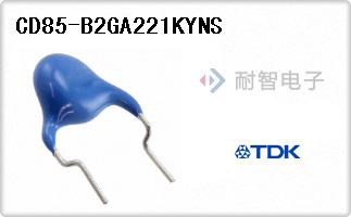 CD85-B2GA221KYNS