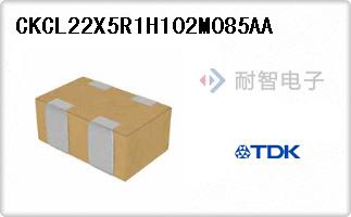 CKCL22X5R1H102M085AA