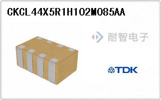 CKCL44X5R1H102M085AA