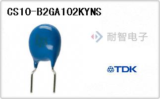 CS10-B2GA102KYNS