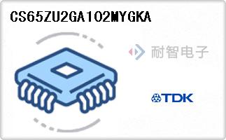 CS65ZU2GA102MYGKA