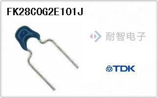 FK28C0G2E101J