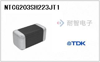 NTCG203SH223JT1代理