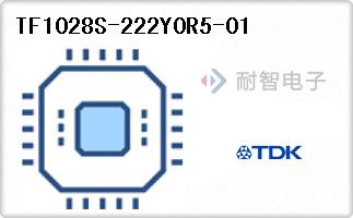 TF1028S-222Y0R5-01