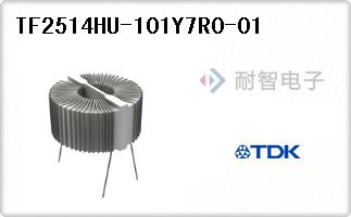TF2514HU-101Y7R0-01