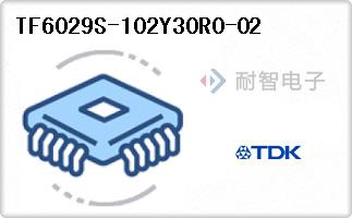TF6029S-102Y30R0-02