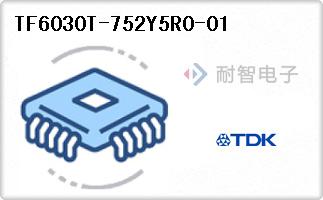 TF6030T-752Y5R0-01