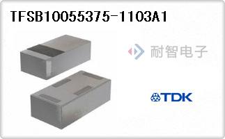 TFSB10055375-1103A1