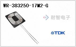 WR-383250-17M2-G