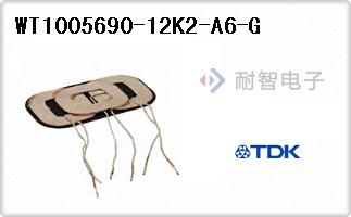 WT1005690-12K2-A6-G
