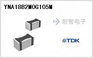 YNA18B2M0G105M