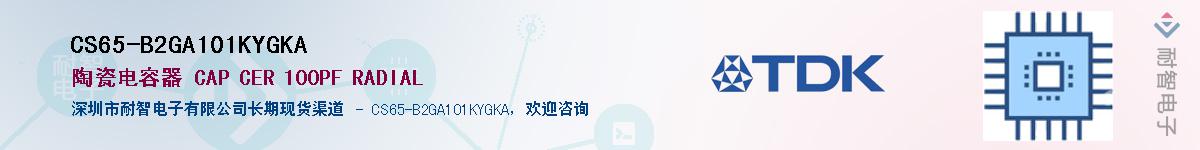 CS65-B2GA101KYGKAӦ-ǵ